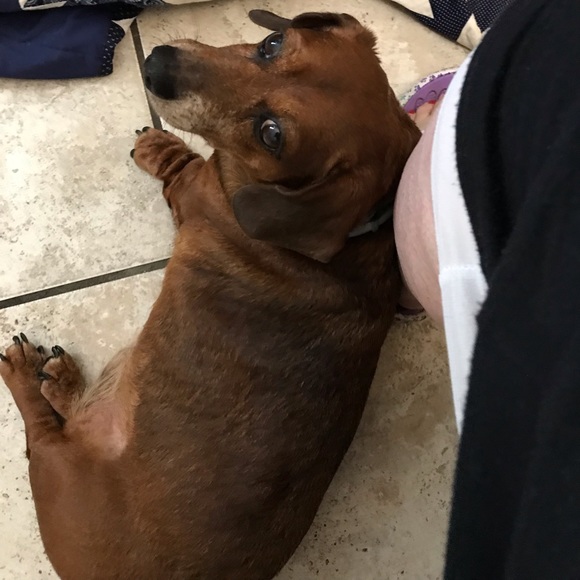 Meet your Posher, Brenda - Picture 4 of 4